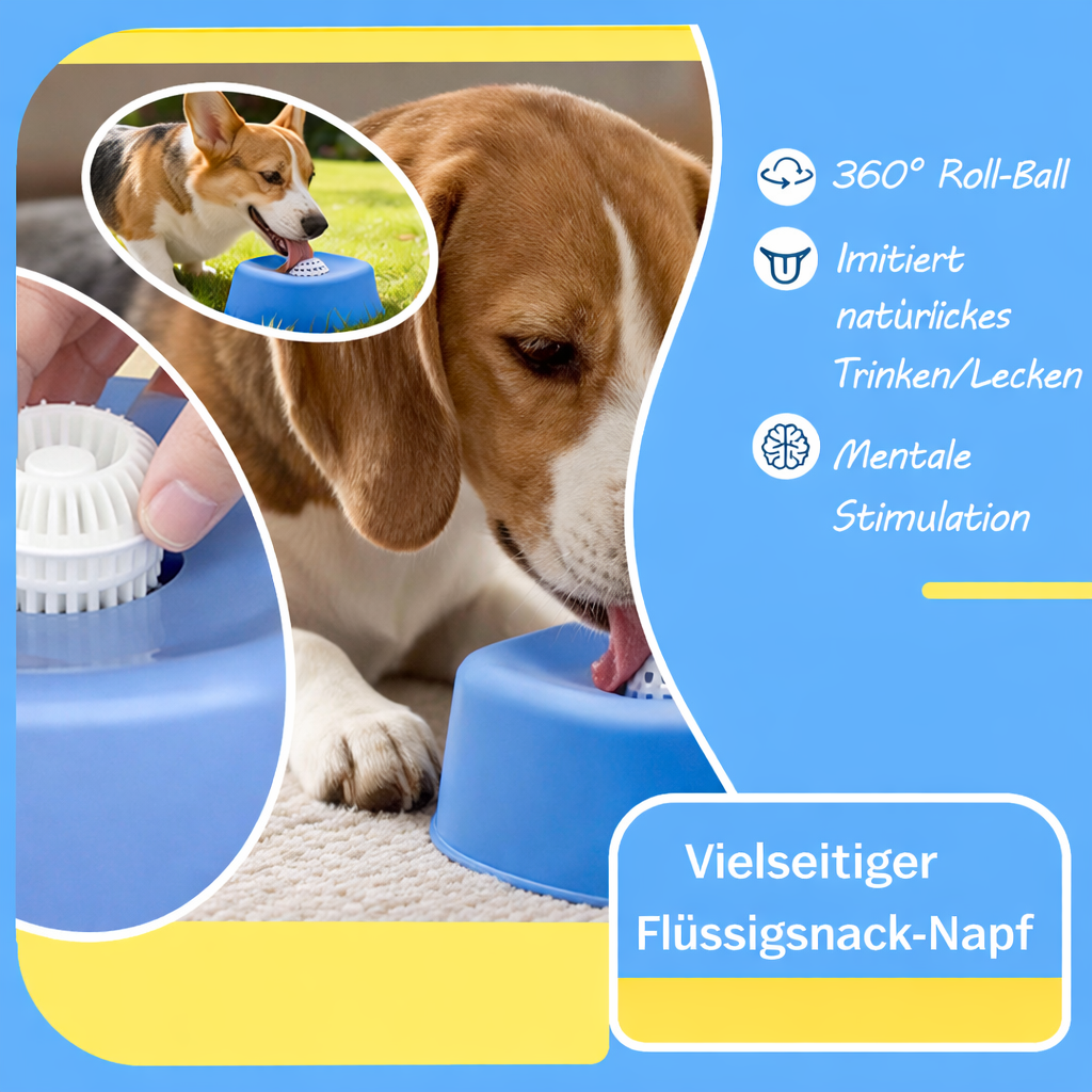 Doggy Bowl