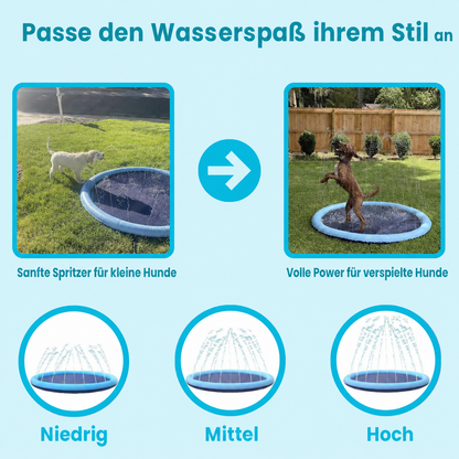 nulooa™ DogySplash