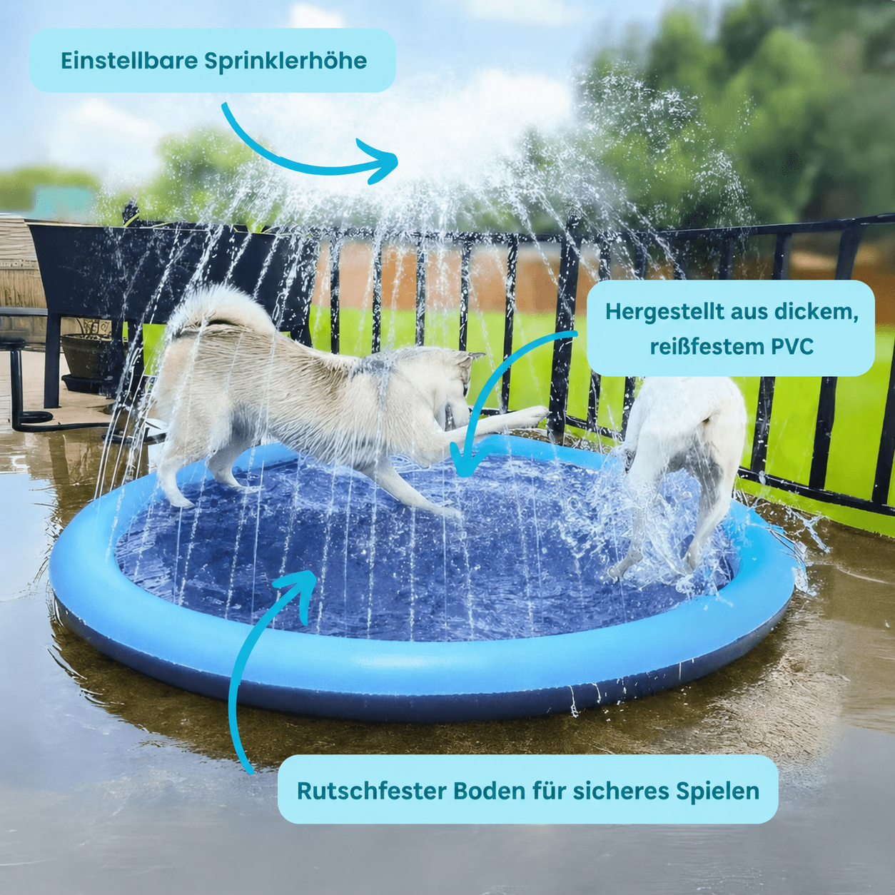 nulooa™ DogySplash