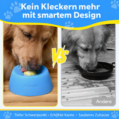 Doggy Bowl